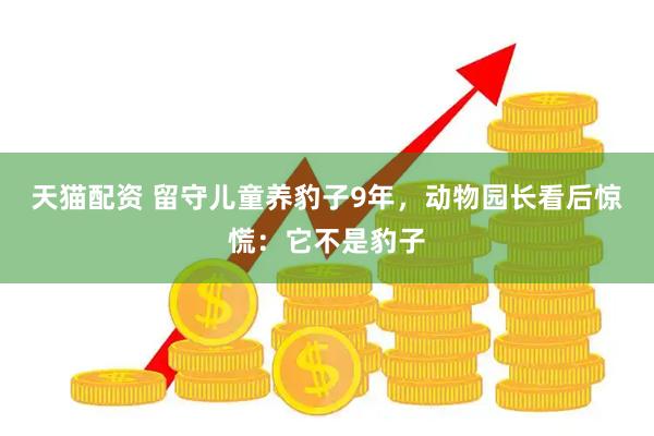 天猫配资 留守儿童养豹子9年，动物园长看后惊慌：它不是豹子
