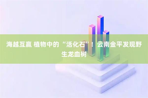 海越互赢 植物中的 “活化石”！云南金平发现野生龙血树
