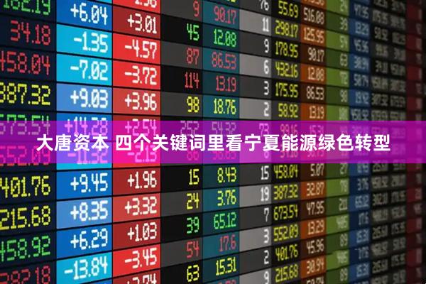 大唐资本 四个关键词里看宁夏能源绿色转型
