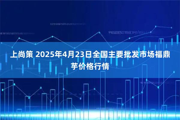 上尚策 2025年4月23日全国主要批发市场福鼎芋价格行情
