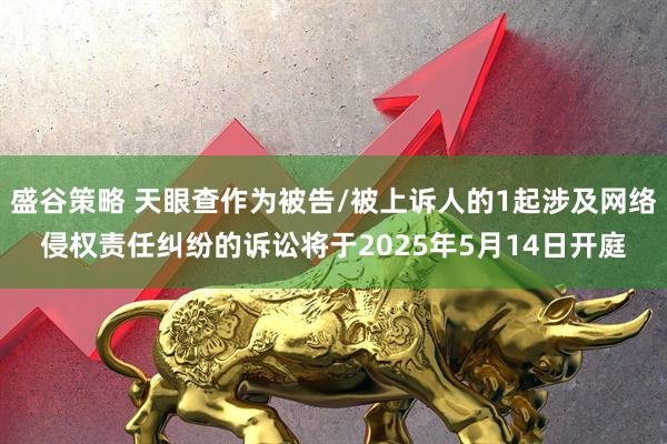 盛谷策略 天眼查作为被告/被上诉人的1起涉及网络侵权责任纠纷的诉讼将于2025年5月14日开庭